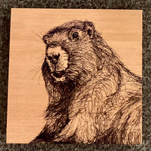 Load image into Gallery viewer, Wood Coasters 4" x 4" / Michaela Ivancova