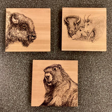 Load image into Gallery viewer, Wood Coasters 4" x 4" / Michaela Ivancova