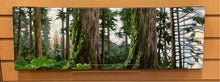 Load image into Gallery viewer, A Forest For The Trees / Chili Thom