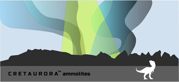 CRETAURORA Ammolites