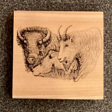 Load image into Gallery viewer, Wood Coasters 4" x 4" / Michaela Ivancova
