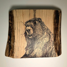 Load image into Gallery viewer, Edge Wood Print / Michaela Ivancova
