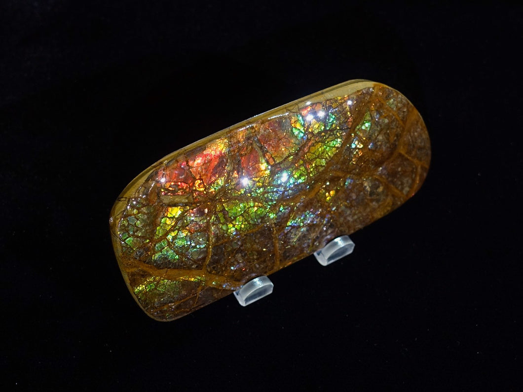 Natural Ammolite