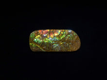 Load image into Gallery viewer, Natural Ammolite
