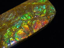 Load image into Gallery viewer, Natural Ammolite
