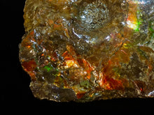 Load image into Gallery viewer, Ammonite Fossil Ammolite
